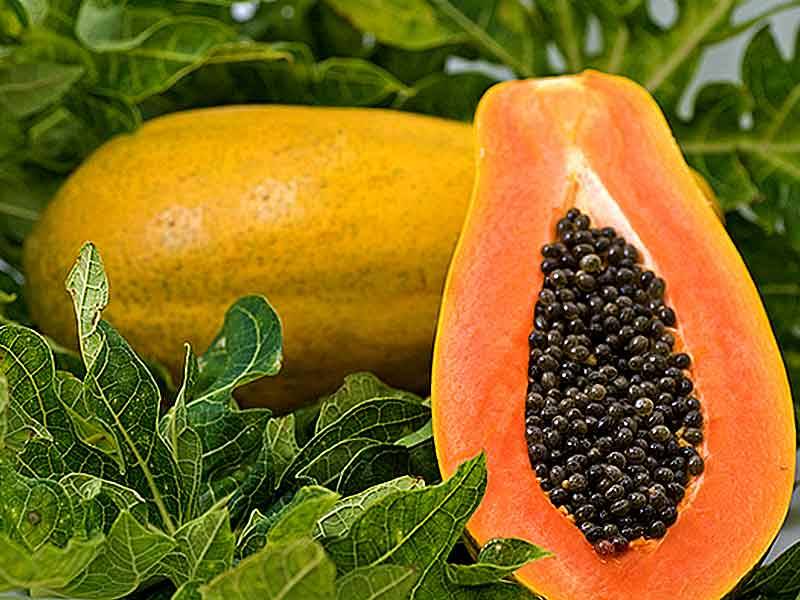 6 Amazing health benefits of Papaya fruit