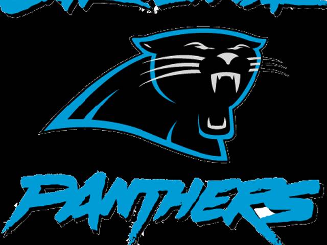 NFL: Panthers down Cards, Ravens stop Steelers in playoffs