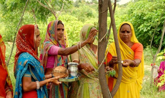 Indian village plants 111 trees every time a girl is born