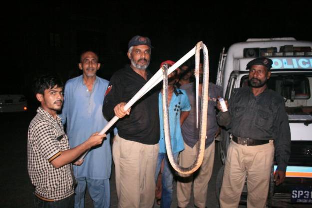Karachi police hunts 'terrorist' cobra