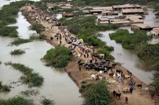 Floods inundate 200 villages in Rojhan, Layyah