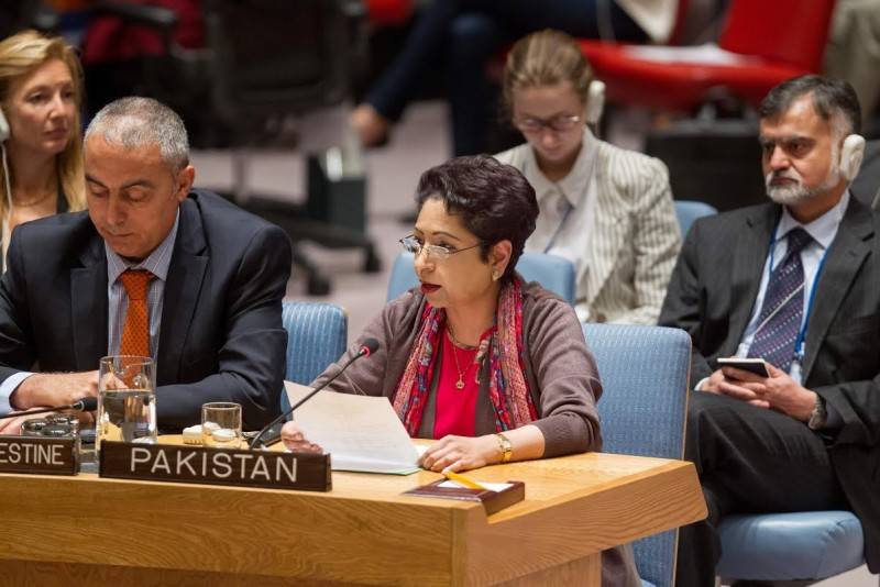 Pakistan calls for Palestinian resolution at UN Security Council