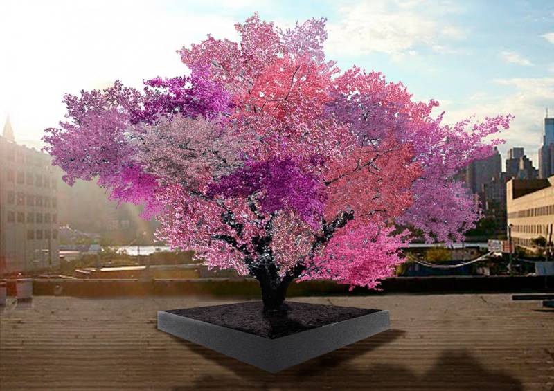 The Tree of 40 Fruits in United States
