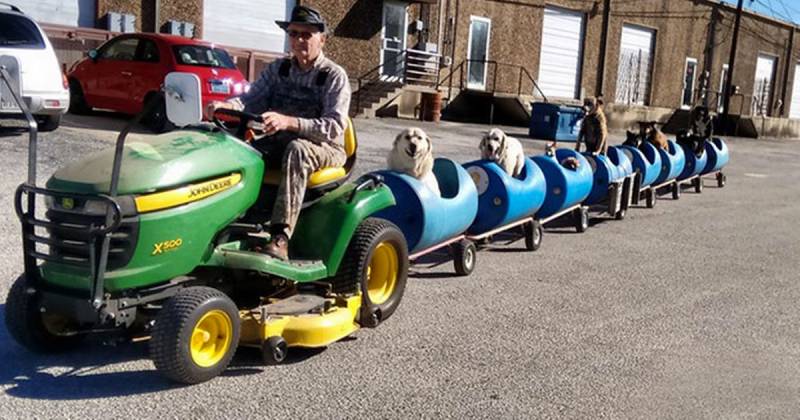 80-year-old man builds train to take rescued dogs on fun rides