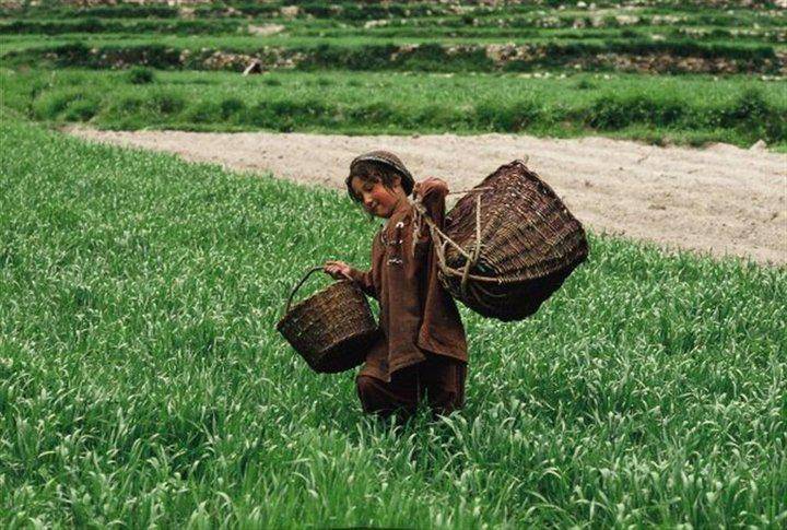 Italy to provide €25 million for agricultral development in Gilgit Baltistan