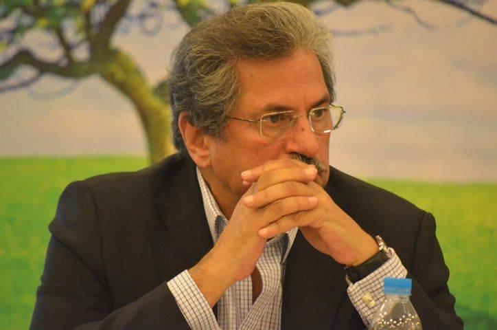 PTI's Shafqat Mehmood resigns over poor performance in LB polls