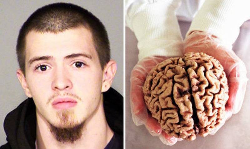 Man jailed for selling human brains online after stealing from US museum