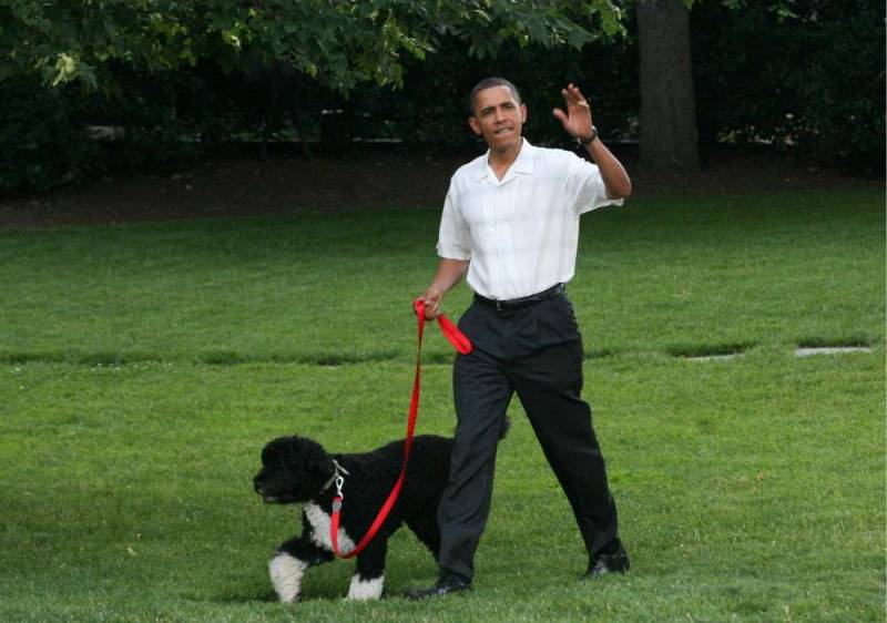 'Plot to kidnap Obama's dog' foiled in Washington