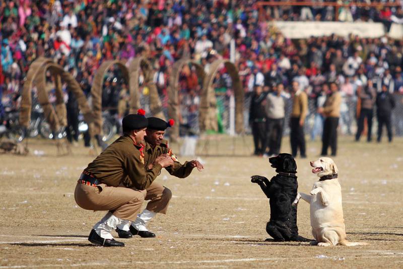 Indian Army Dog Squad to receive canine tribute on Republic Day