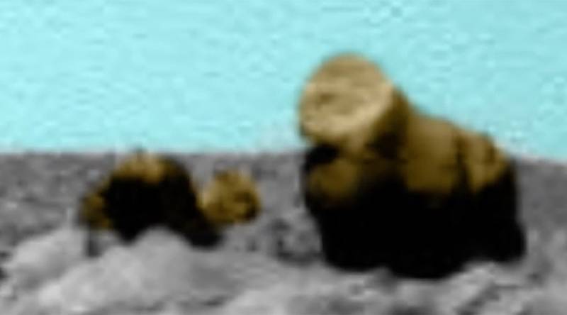 VIDEO: Martian bear and cub’ identified in latest red planet 'discovery'