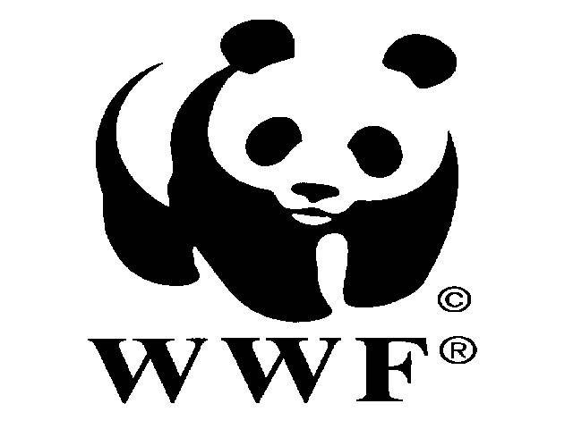 Combating illegal wildlife trafficking with WWF-Pakistan
