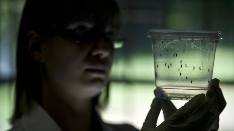 Indian scientists develop 'world's first Zika virus vaccine'