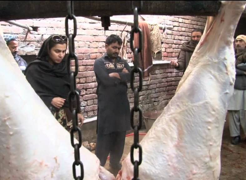 PFA seals two illegal slaughter houses in Lahore