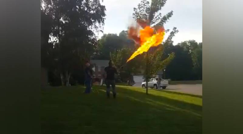 VIDEO: Flamethrower used for pesky pests goes viral