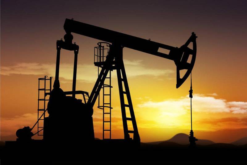 Oil rises on positive US data