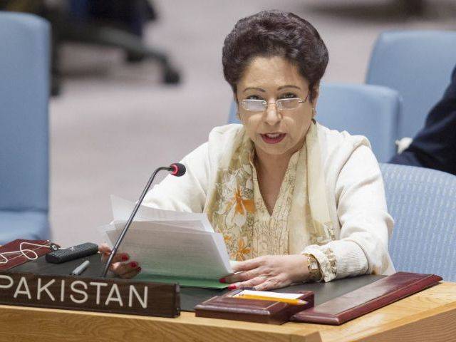 Pakistan says veto to blame for non-resolution of Kashmir issue