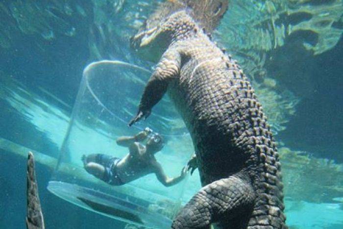 Russian tourist killed by a crocodile in Indonesia
