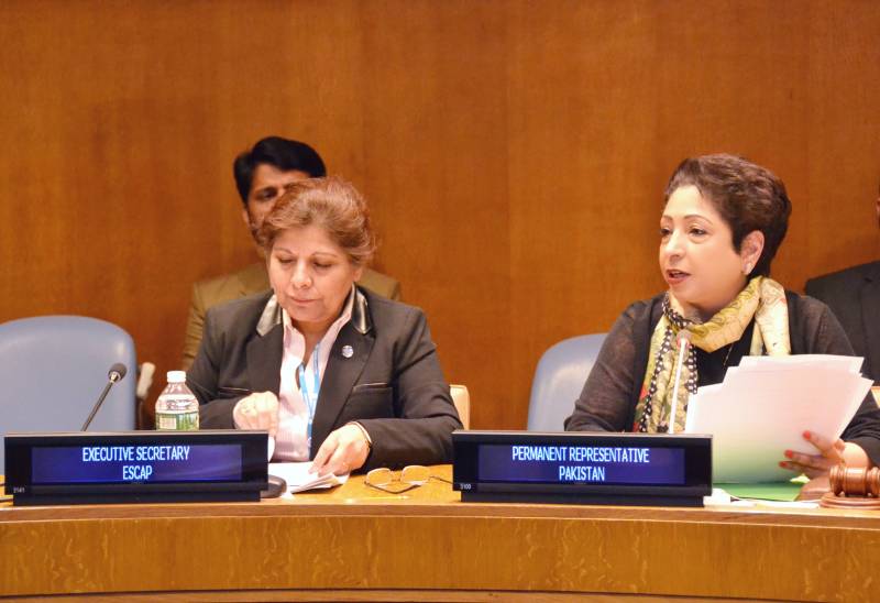 SAARC's promise of regional cooperation yet to be translated into reality, says Maleeha Lodhi