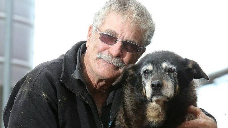 World's 'oldest dog' Maggie dies at 30