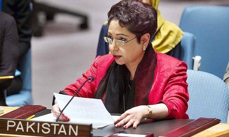 UNSC reform only on democratic basis, Pakistan tells United Nations