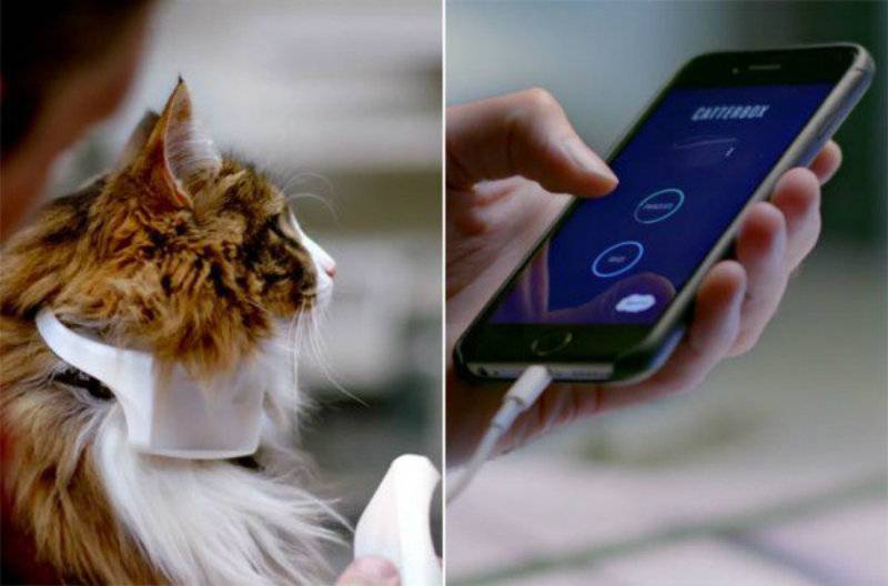 Catterbox - World’s first smart collar that translates Cat Meows into Human Speech