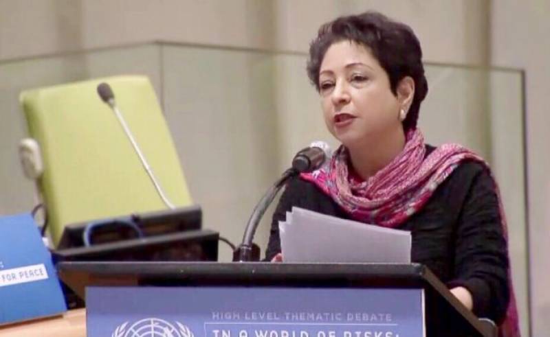 Lodhi urges UN to resolve Kashmir, Palestine disputes