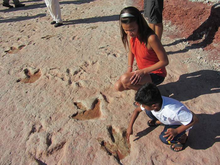 Amazing: Footprints of 150 million year old dinosaur found in India
