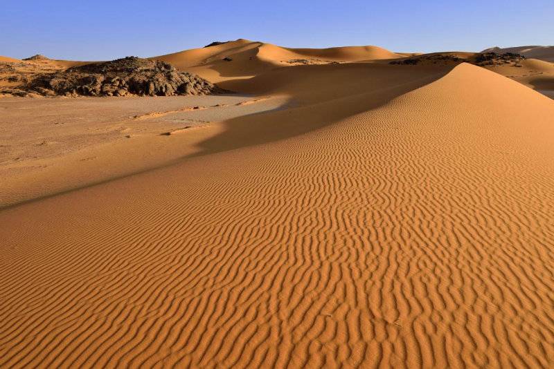 34 migrants found dead in Sahara desert
