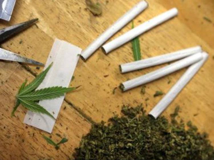 California to vote on legalization of recreational marijuana