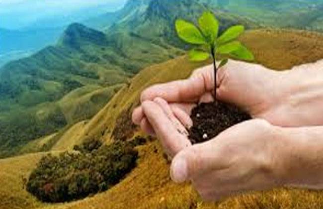 Pakistan to plant 105 million saplings to fight climate change