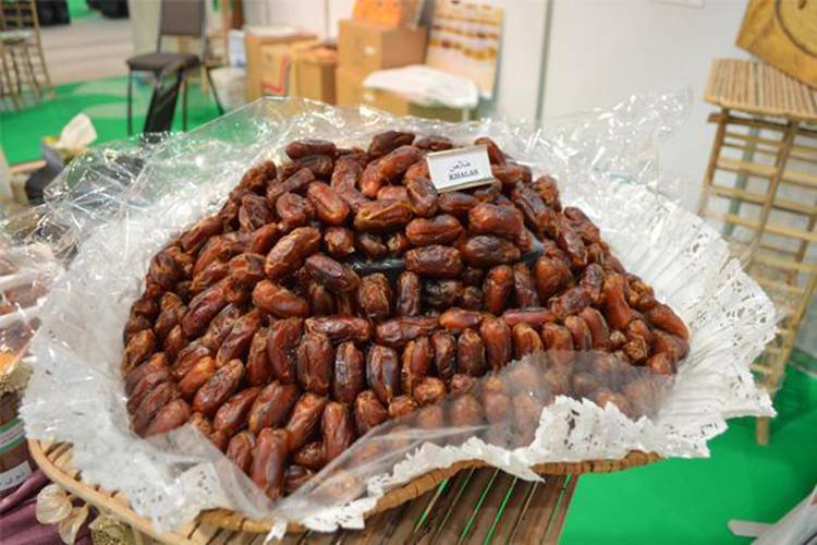 International Date Palm Festival from August 22