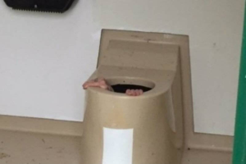Man stuck down in public toilet trying to rescue a lost phone