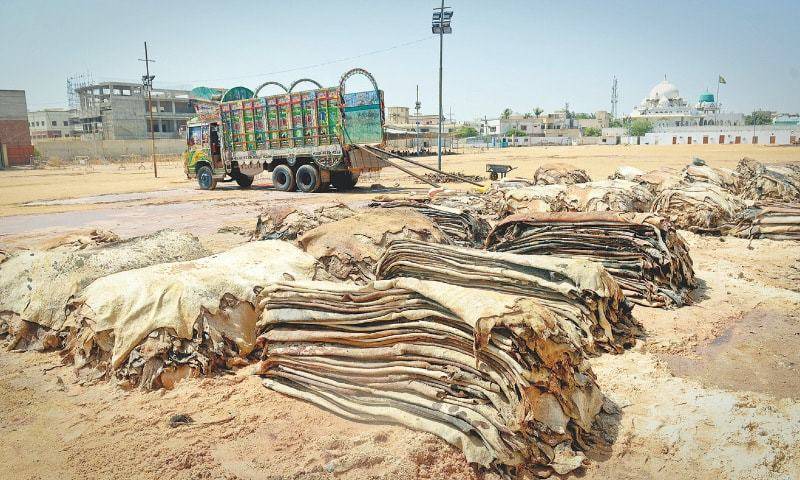 Banned outfits barred from collecting sacrificial animals hides