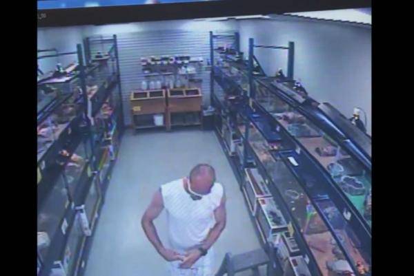 Pet Store Thief Hid Snake In His Pants!