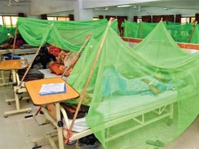 Dengue cases in Tharparkar soar to 261