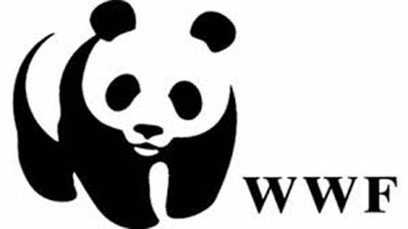 WWF-Pakistan, Leonine Global Sports join hands to protect the snow leopard
