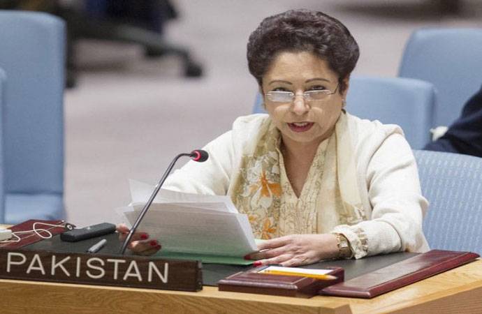 Pakistan cautions against defaming Islam in UN Debate on Terrorism
