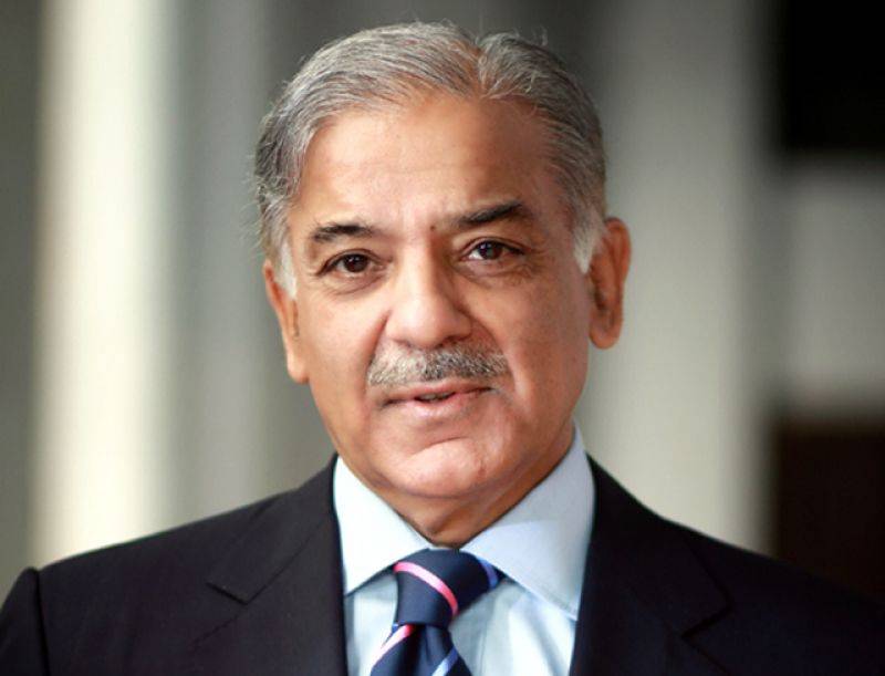 Austrian delegation discusses energy projects with Shehbaz Sharif