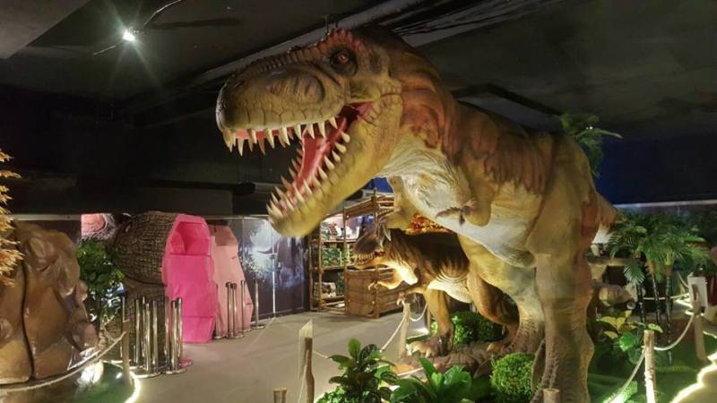 Karachi's first-ever dinosaur theme park opens for visitors