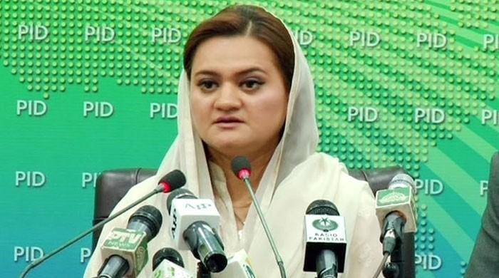 Panama Leaks: SC decision will be according to law, says Marriyum