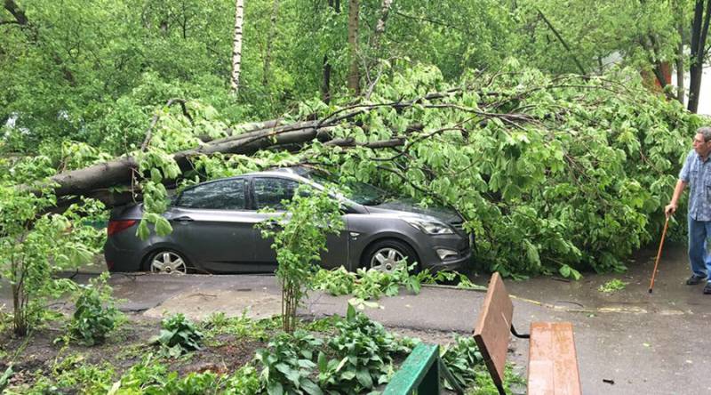 Several dead in Moscow as severe storm causes havoc
