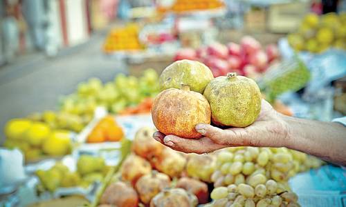 Fruit Boycott: Markets in Lahore remain largely empty for the second day of three-day strike