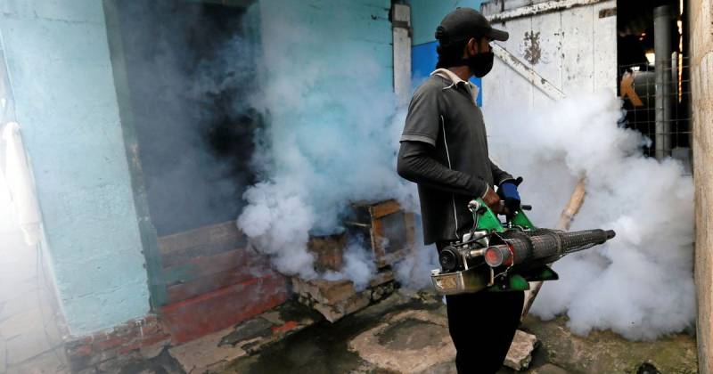 225 killed as deadly dengue strikes Sri Lanka