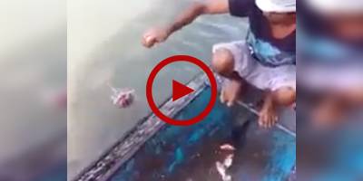 This new trick of catching fish is worth watching