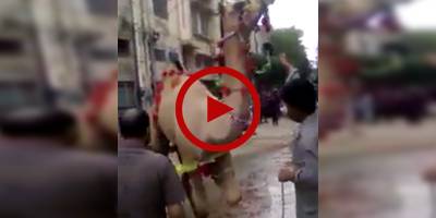 Untrained butcher hit by sacrificial camel in Karachi