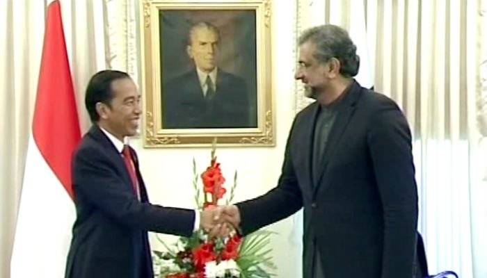 Pakistan, Indonesia agree to bring balance in bilateral trade