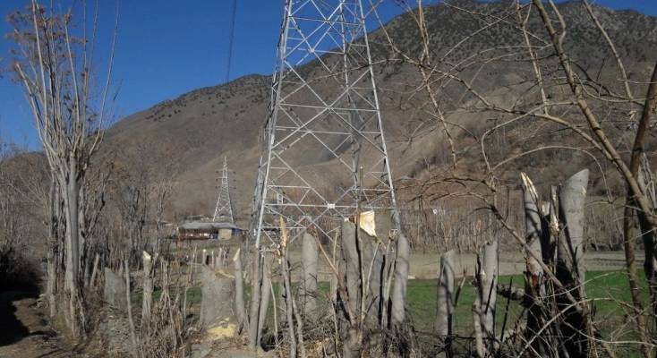 Federal govt puts a dent in billion tree tsunami by cutting down protected walnut trees in Chitral
