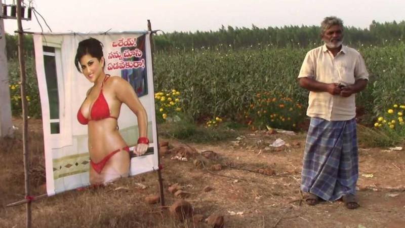 Indian farmer puts up Sunny Leone poster to keep crops safe from 'evil eye'