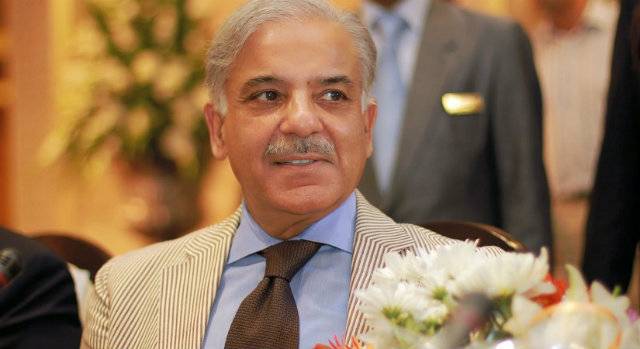Must 'respect and honour' endeavours undertaken by army chief, says Shehbaz