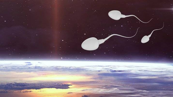 NASA launches human sperm into space